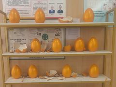 -合肥美奥口腔·种植矫正中心(政务院)