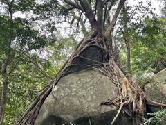 -七仙岭温泉国家森林公园