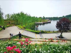 -西安汉城湖景区