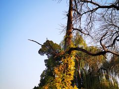 -承恩寺