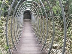 -海南热带雨林国家公园吊罗山景区