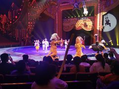 -珠海横琴长隆《卡卡虎奇遇记》