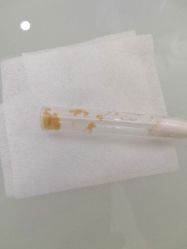 -苗医生草本科技祛痘