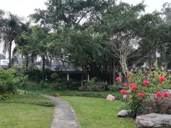 -广西壮族自治区药用植物园