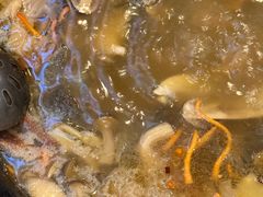 -草墩罗非鱼庄•野生菌•腊排骨(七星街上段店)