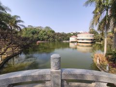 -金花茶公园
