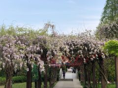 -白马涧龙池景区