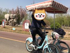 -武清南湖绿博园