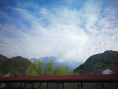 -王顺山国家森林公园