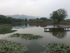 -长兴太湖图影湿地文化园