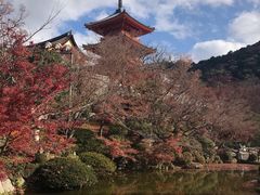 -Hōzen-ji Temple法善寺
