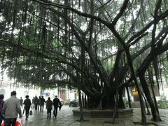 -西禅古寺售票处