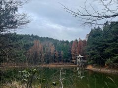 -四明山国家森林公园