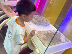 -吉林省自然博物馆