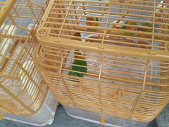 -蟠龙天地-P2停车场