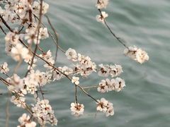 -柯达快照(海运仓胡同店)