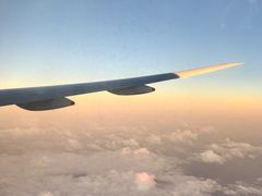 -新加坡航空公司(ION)