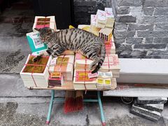 -仁寿寺