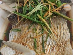 -正宗高流河饭店原创风姜鸡