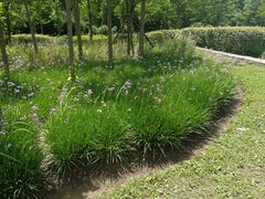 -贵阳市花溪国家城市湿地公园