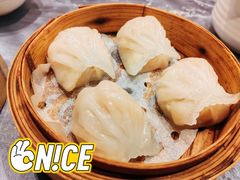 潮港虾饺皇-海联潮港城