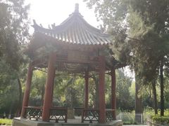 -保定市动物园