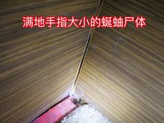 -上海滴水湖皇冠假日酒店