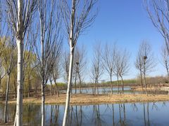 -东郊湿地公园