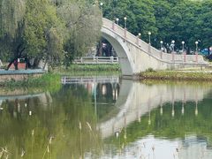 -金砂公园