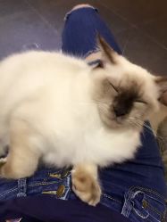 -隅日式美甲美睫專門店