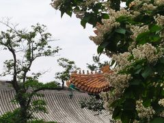 -北京国子监胡同