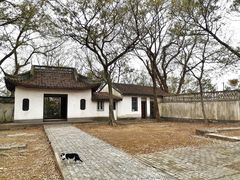 -上海佘山国家森林公园天马山园