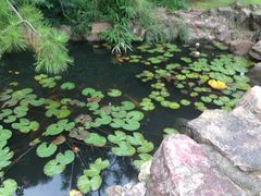 iphone_upload_pic-上海虹桥迎宾馆