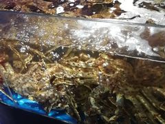 -蟹之国·精品蟹料理(极地店)