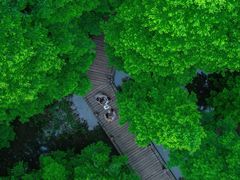 -桤木河湿地公园