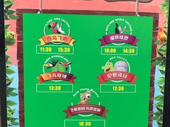 -广州长隆飞鸟乐园