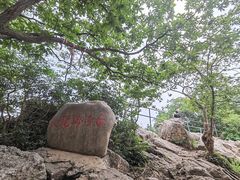 -紫金山山顶公园