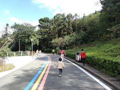 -南京金牛湖风景区