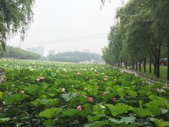 -南戴河国际娱乐中心