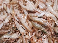 -鲜鲜·鲅鱼圈海鲜(于洪店)