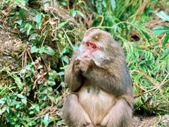 -西岭雪山大飞水景区