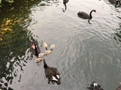 -长白岛森林公园