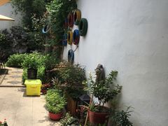 -美味之家·湖景农家乐(太湖东山店)