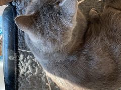-平行世界·猫咖(首经贸店)