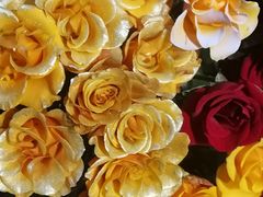 -循礼门鲜花花市(武汉循礼门店)