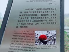 -桤木河湿地公园