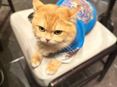 -上海老饭店(豫园店)