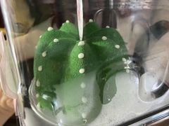 仙人掌-Jo's Garden
