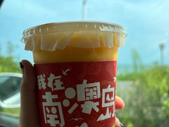 -南澳岛打卡果汁冰公司