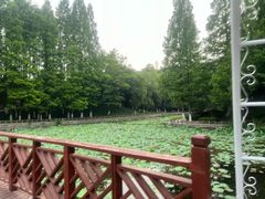 -湛山寺